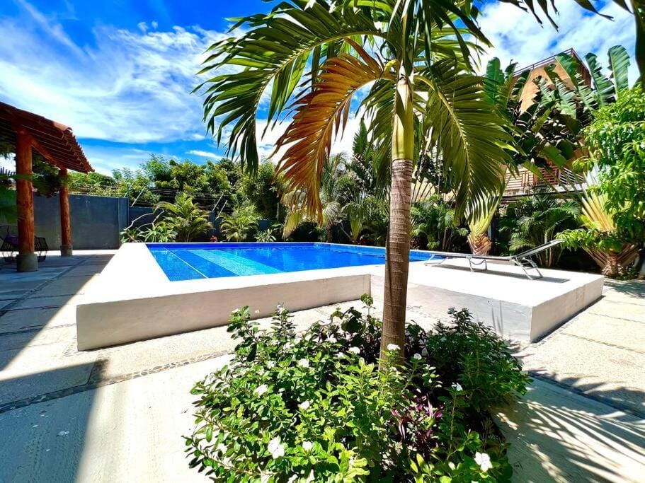 Day, Garden, Garden, Pool view, Swimming pool, Swimming pool