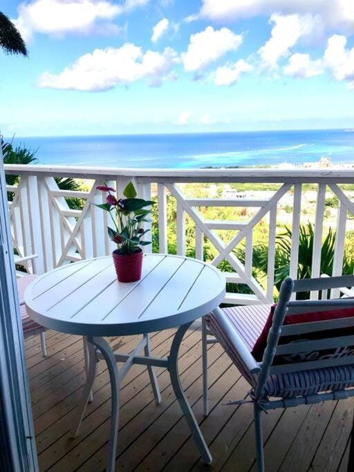Sky View Luxury Private Terrace 1 Bedroom Suite Apartment in St. Croix