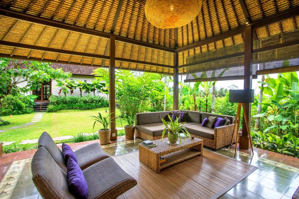 Patio, Garden, Living room, Garden view
