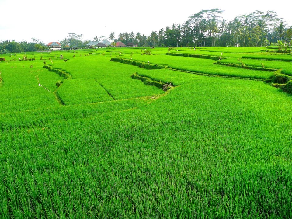 Landmark view