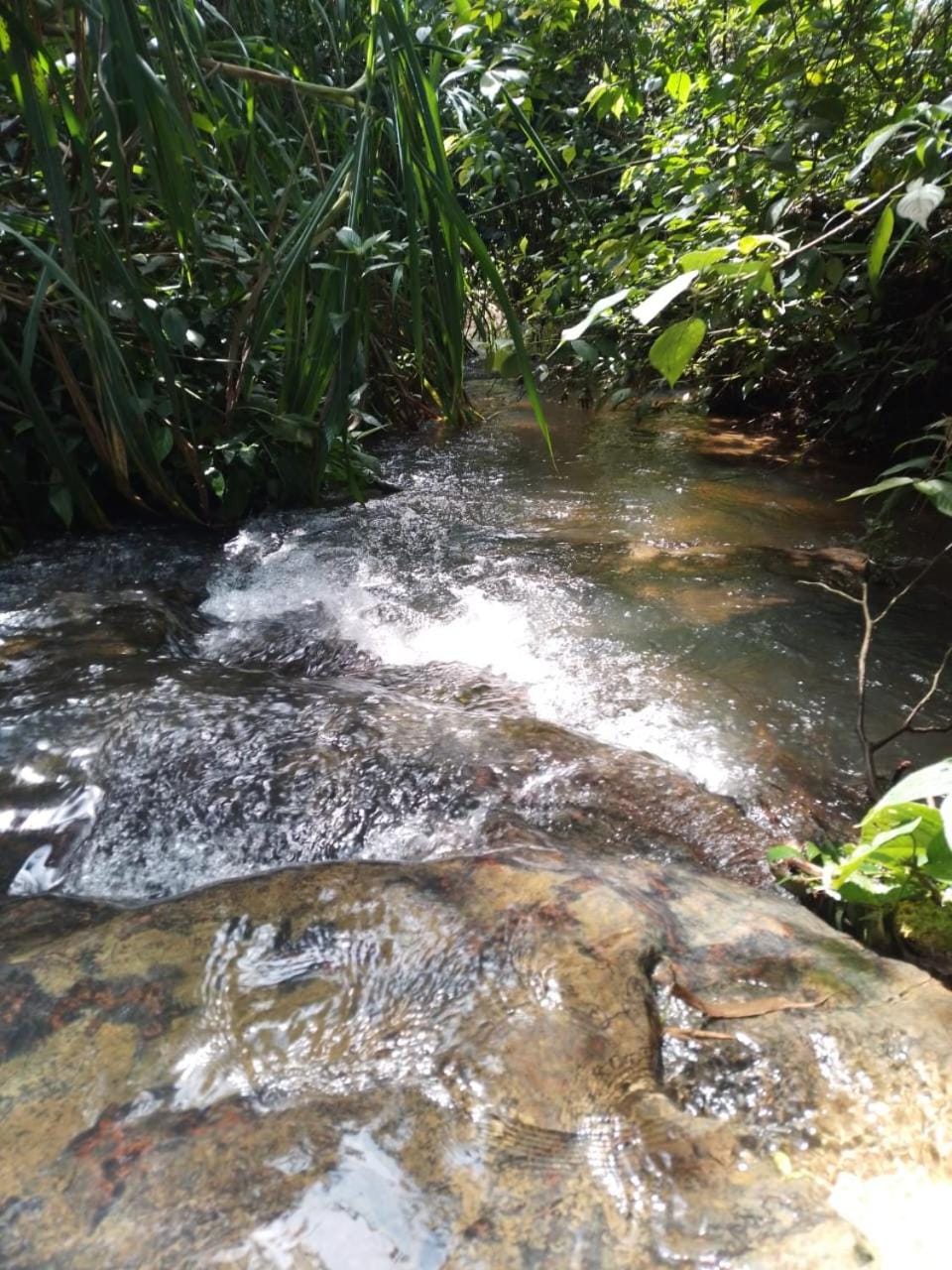 River view