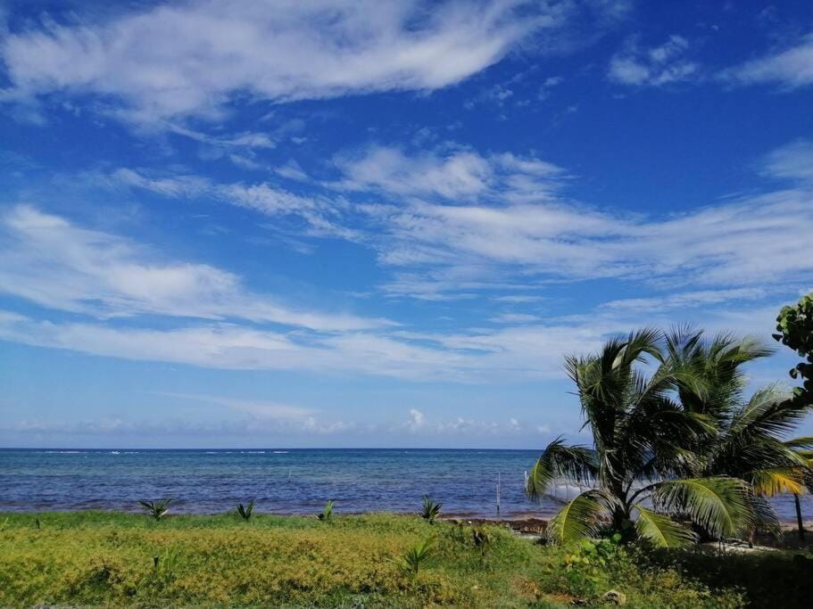 Mahaguay - Estudio frente a la playa Apartment in State of Quintana Roo