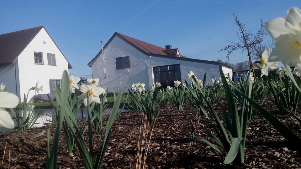 Spring, Garden view