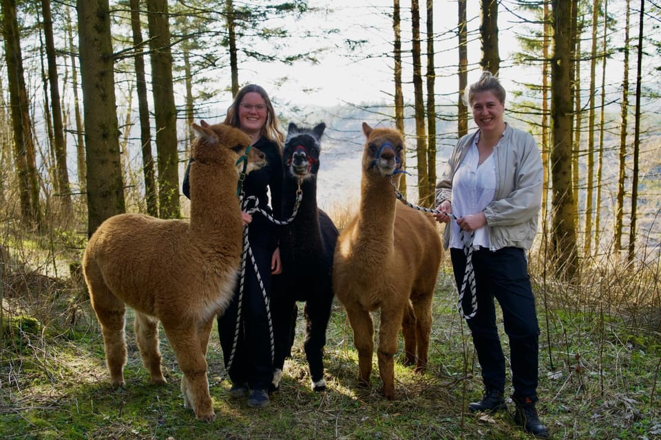 Animals