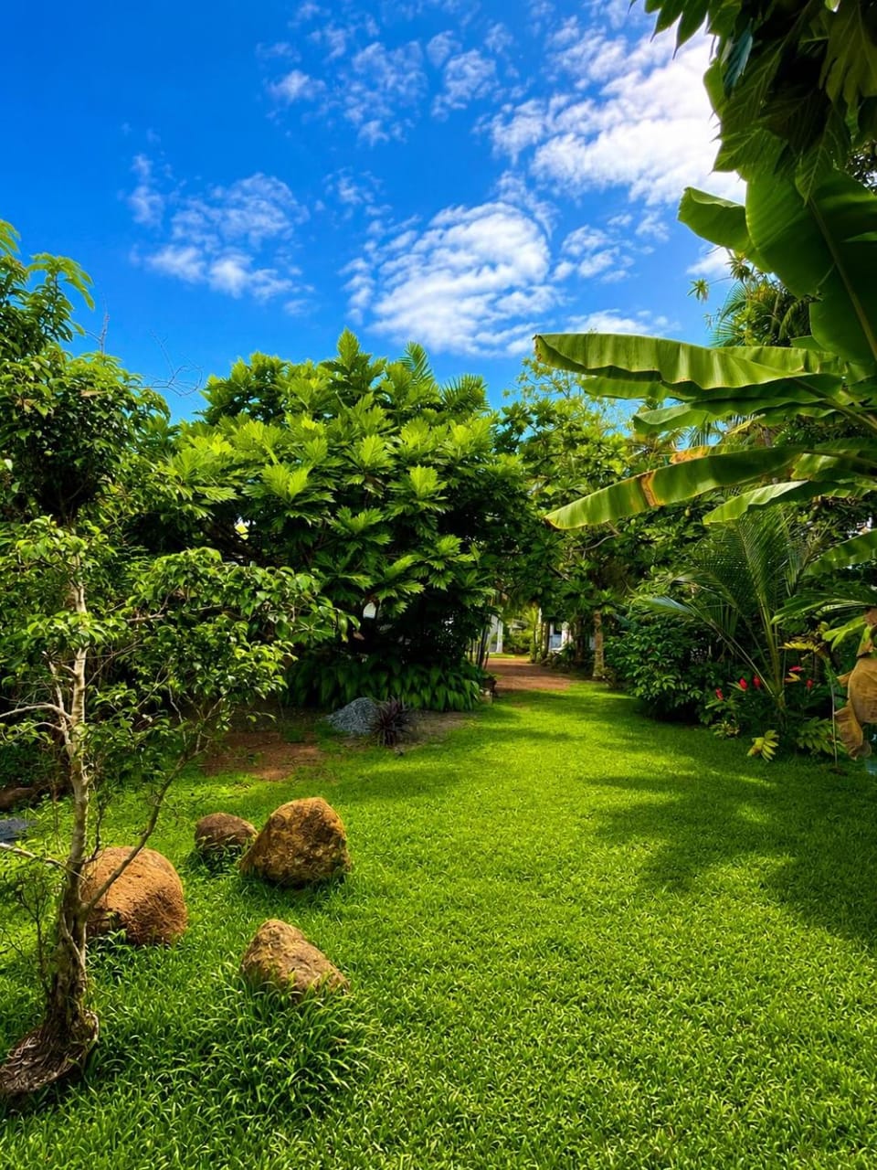 Day, Garden, Garden view