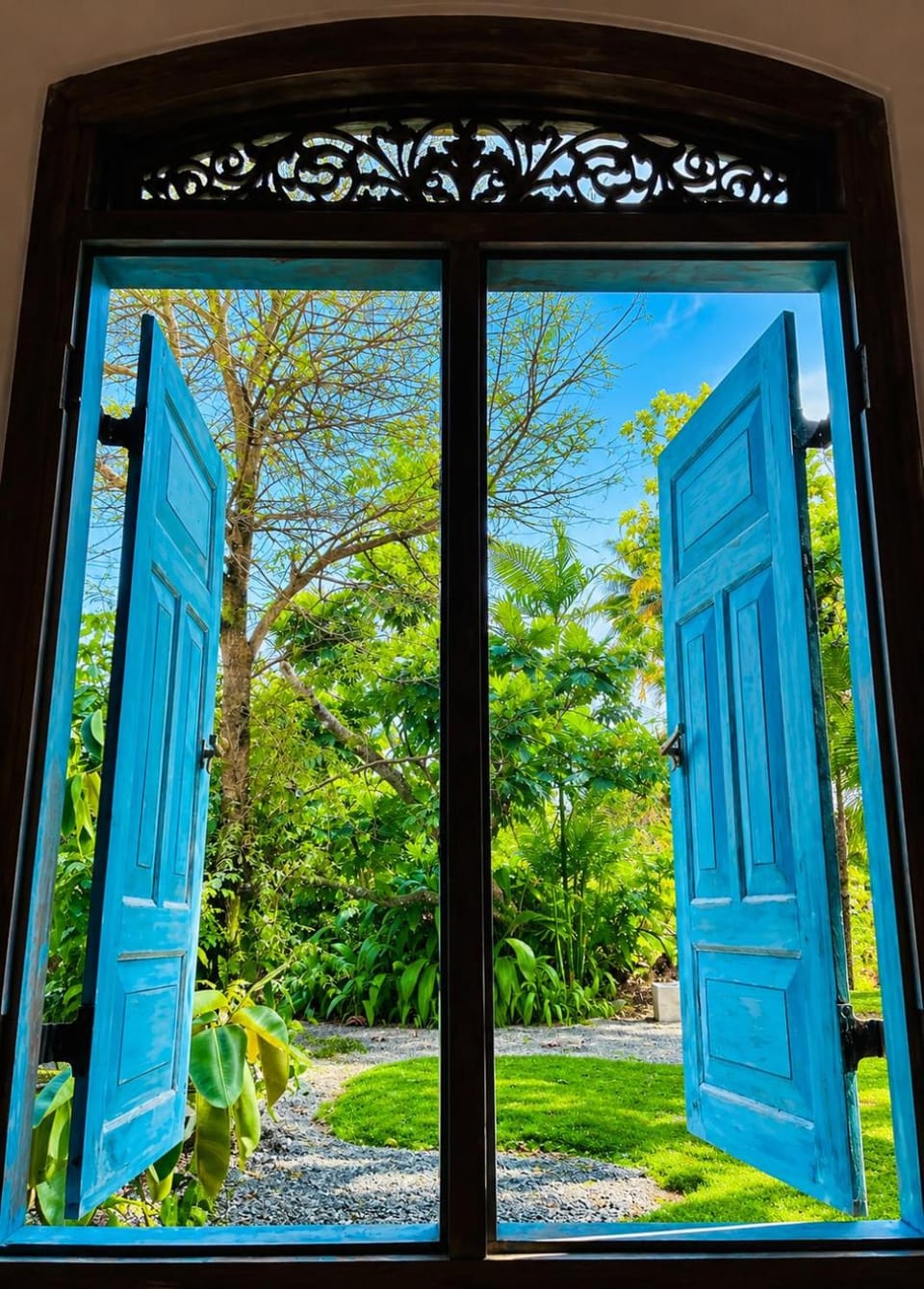 Natural landscape, Garden, Garden view, Entertainment