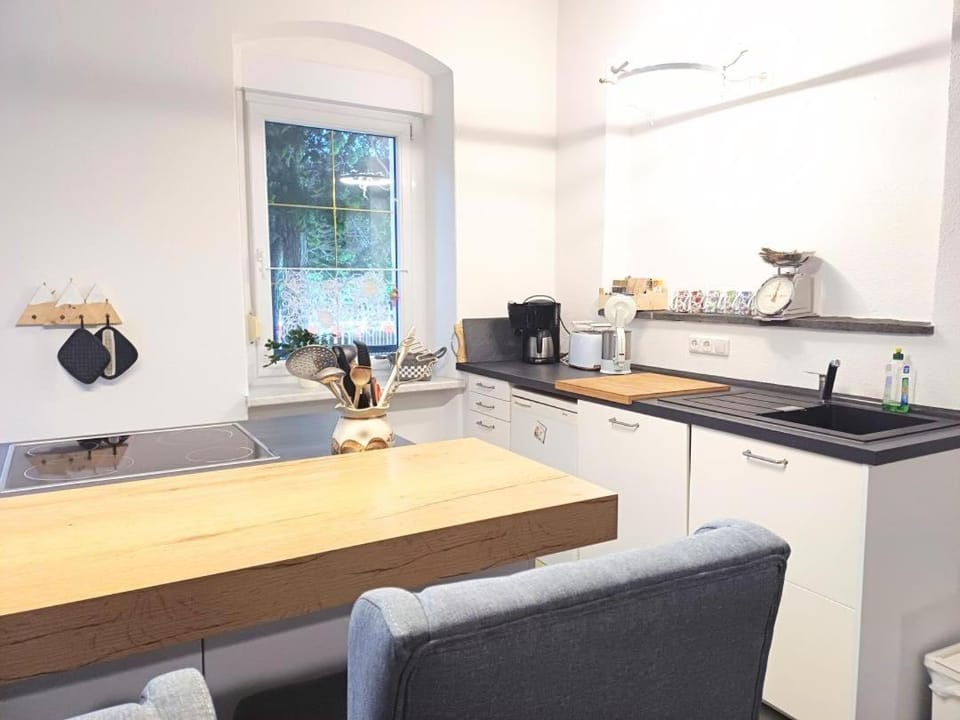 NEU! Ferienwohnung Schwarzenberg Apartment in Erzgebirgskreis
