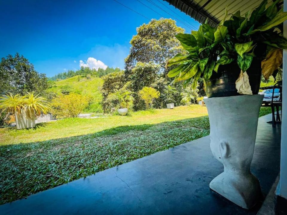 Garden view