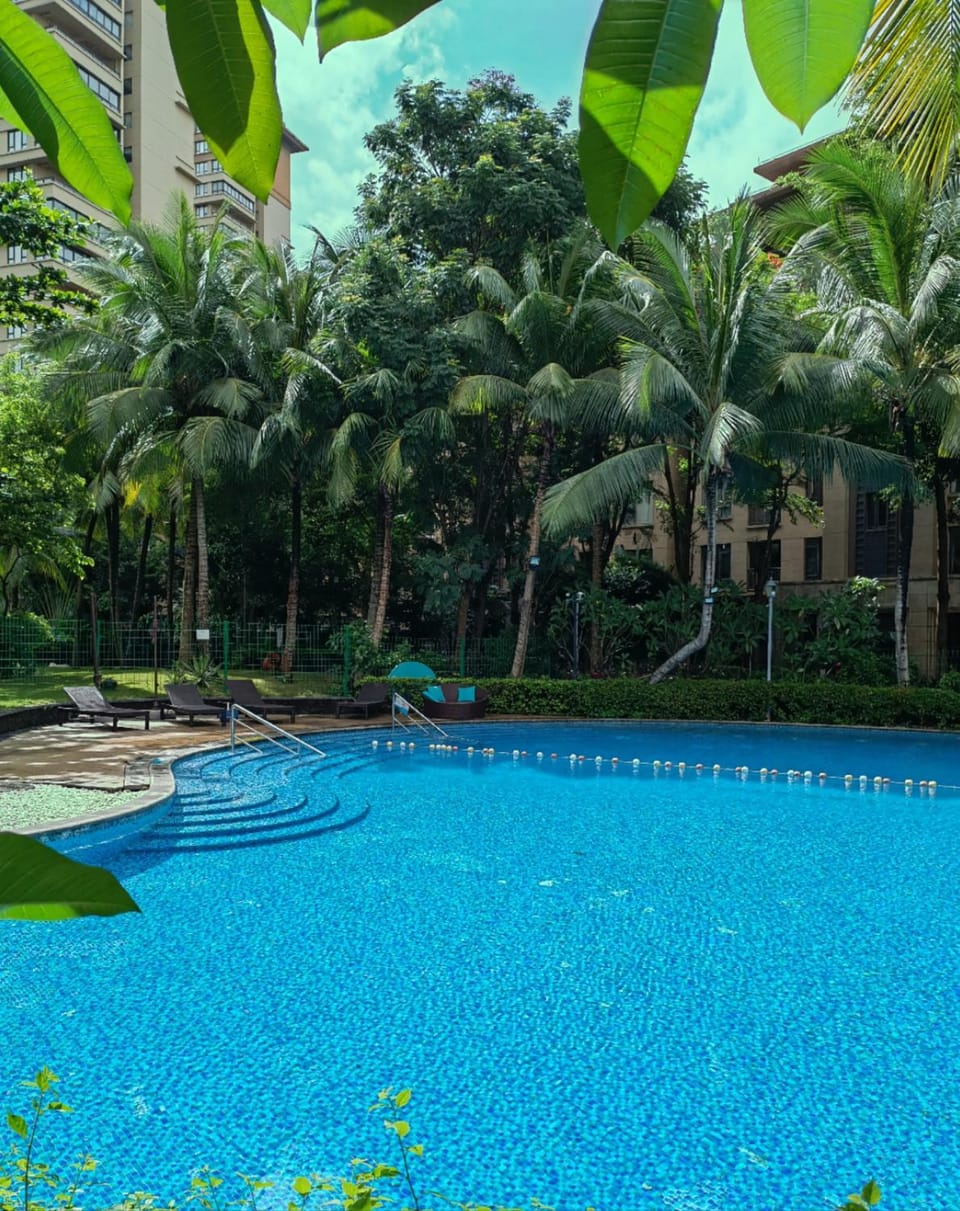 Swimming pool, Swimming pool