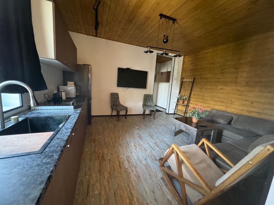 Kitchen or kitchenette, Living room