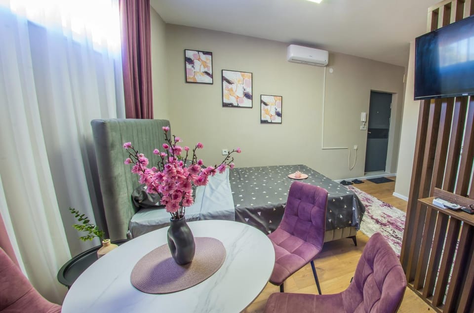 TV and multimedia, Seating area, Dining area, air conditioner