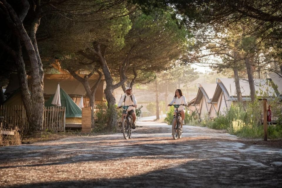Natural landscape, Cycling, Cycling