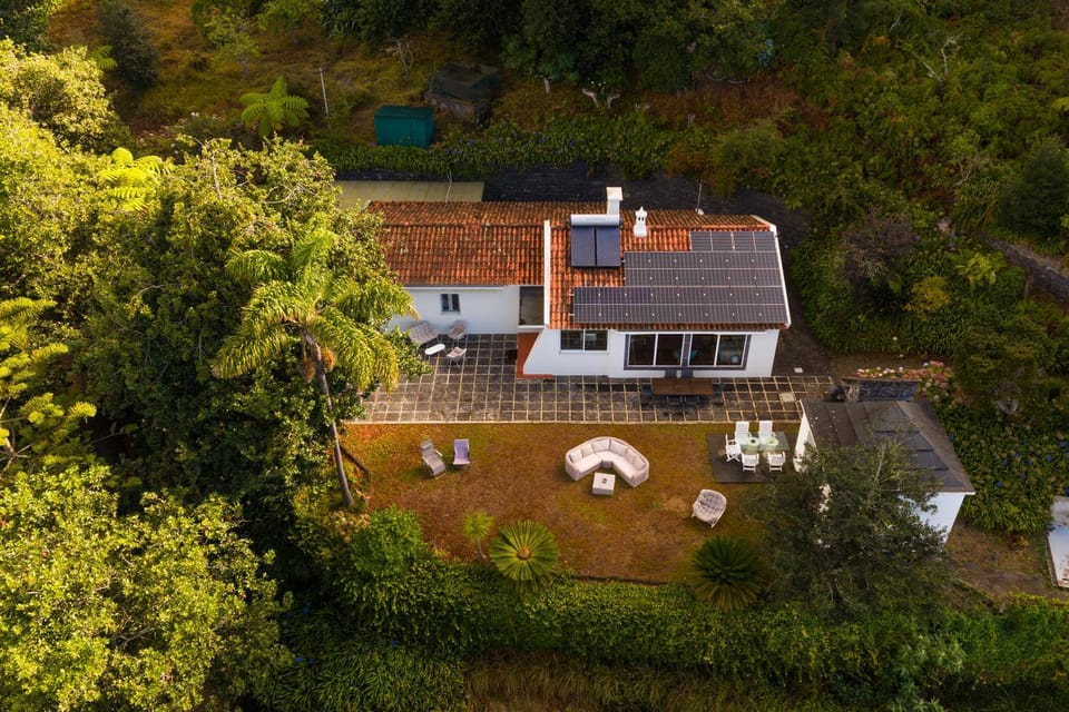 Property building, Day, Natural landscape, Bird's eye view, Garden, Garden view