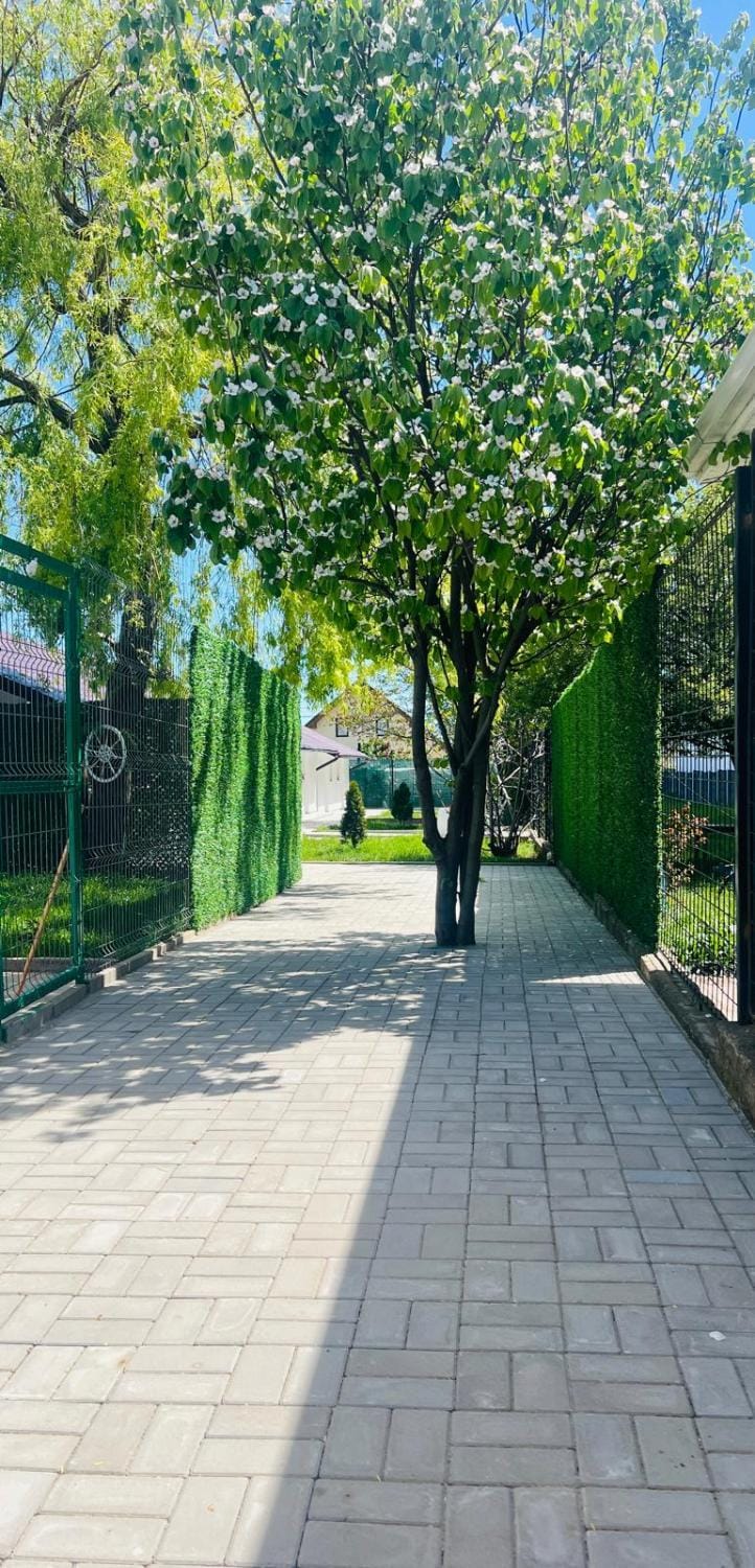 Mafmaf Tiny Houses - încasare cu card de vacanță House in Constanța County