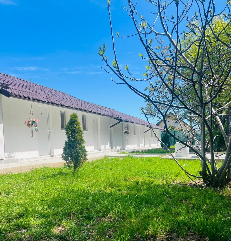 Mafmaf Tiny Houses - încasare cu card de vacanță House in Constanța County