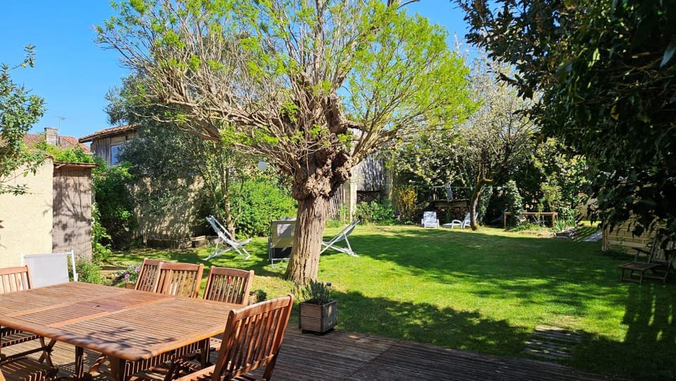 Garden, Garden, Garden view, Garden view