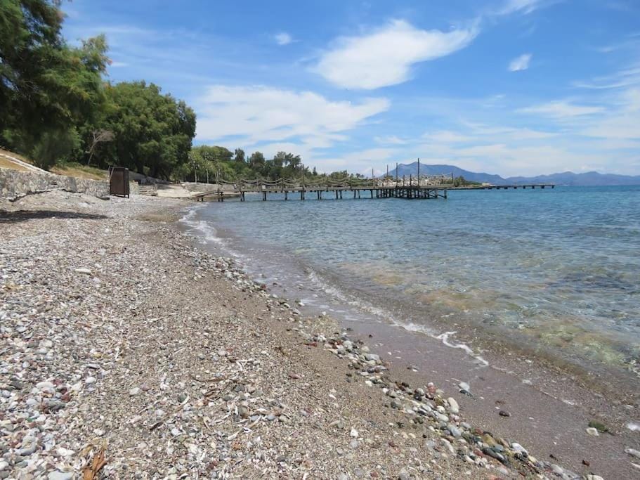 DERİN Ev-SEVGİ YOLUNDA DENİZE SIFIR FULL MANZARALI Apartment in Muğla Province