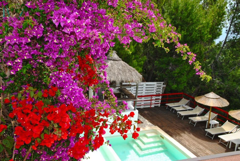 Pool view