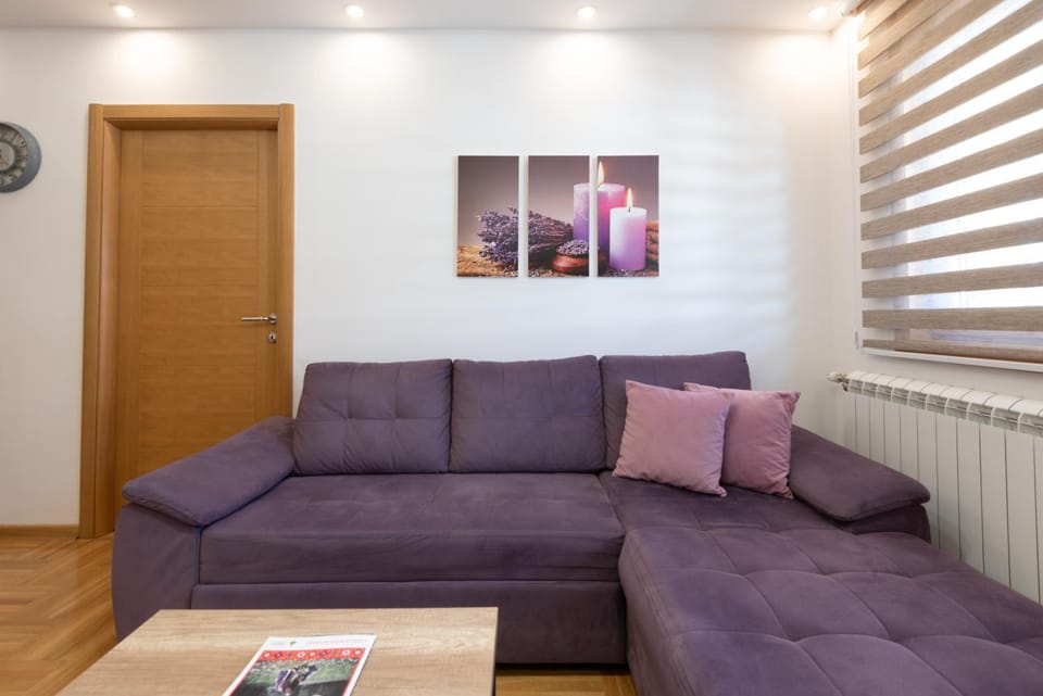 Viola lux Zlatibor Apartment in Zlatibor