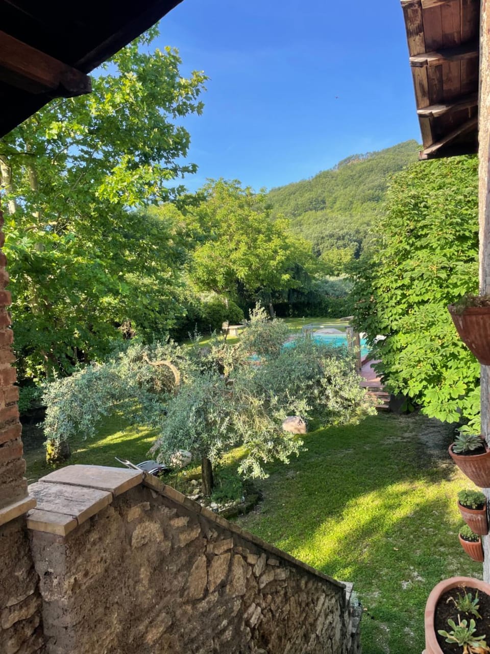 Garden view