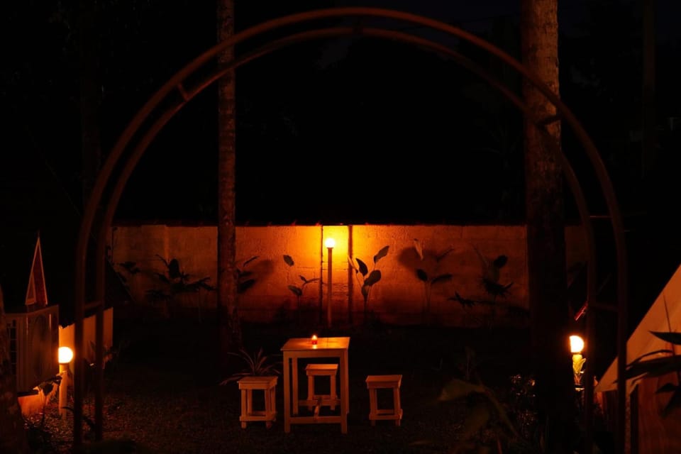Night