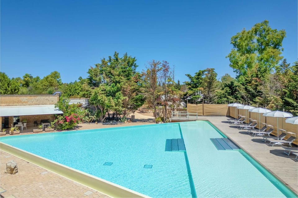 Swimming pool, Swimming pool, sunbed