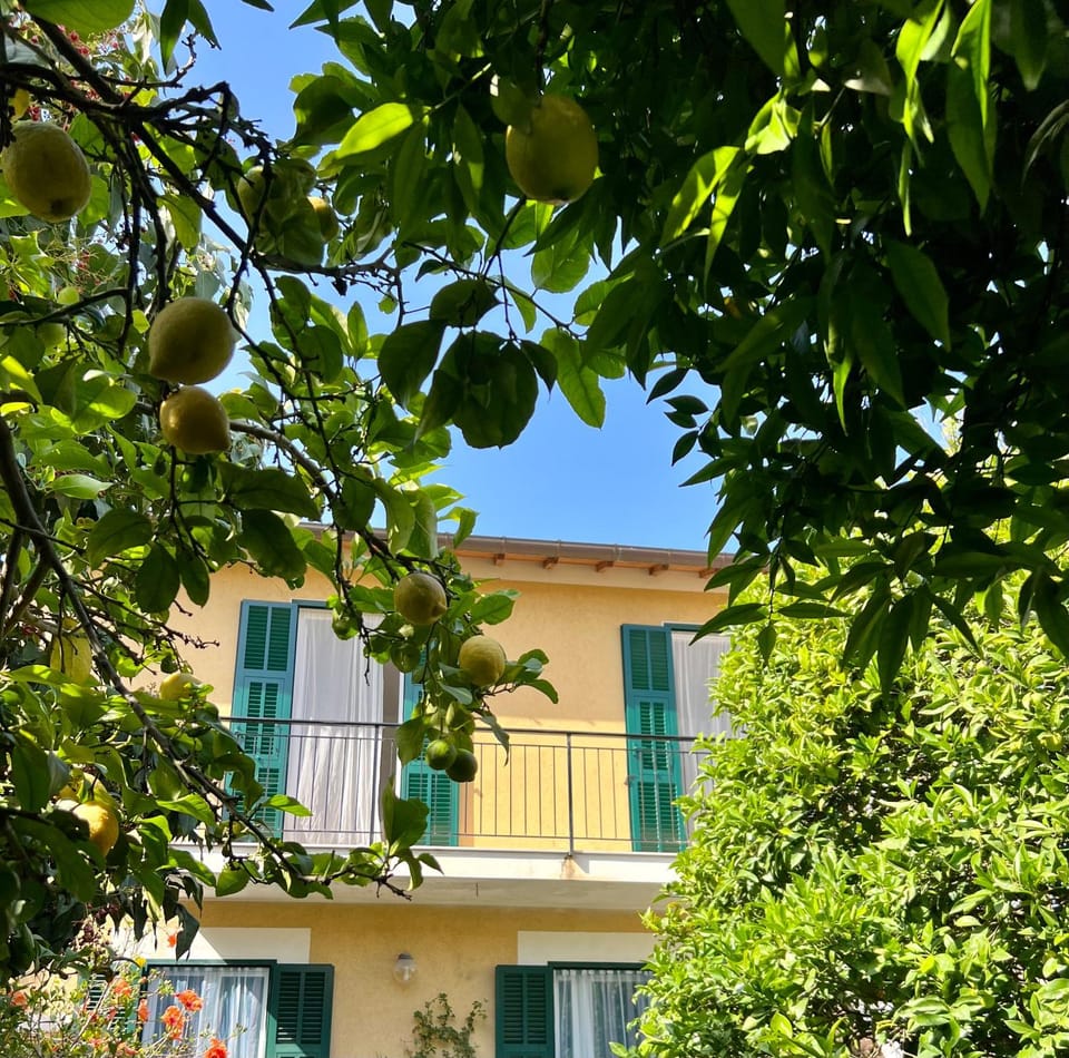 Property building, Spring, Day, Garden, View (from property/room), Balcony/Terrace, Garden view