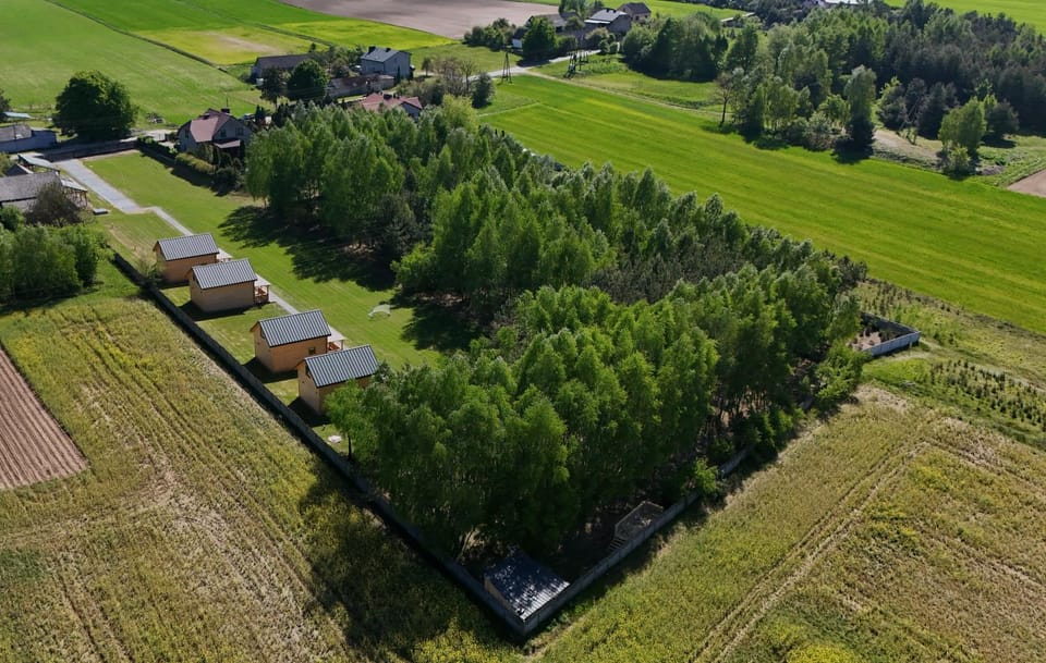 Spring, Day, Neighbourhood, Natural landscape, Bird's eye view