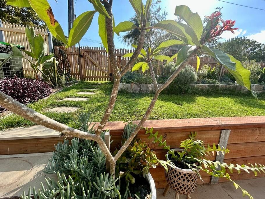 Little Banksia Apartment in Toormina