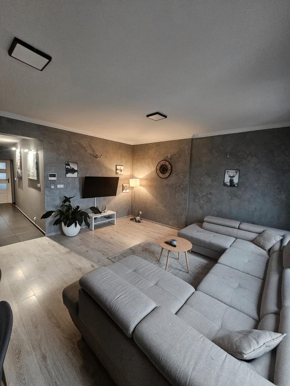 Communal lounge/ TV room, TV and multimedia, internet