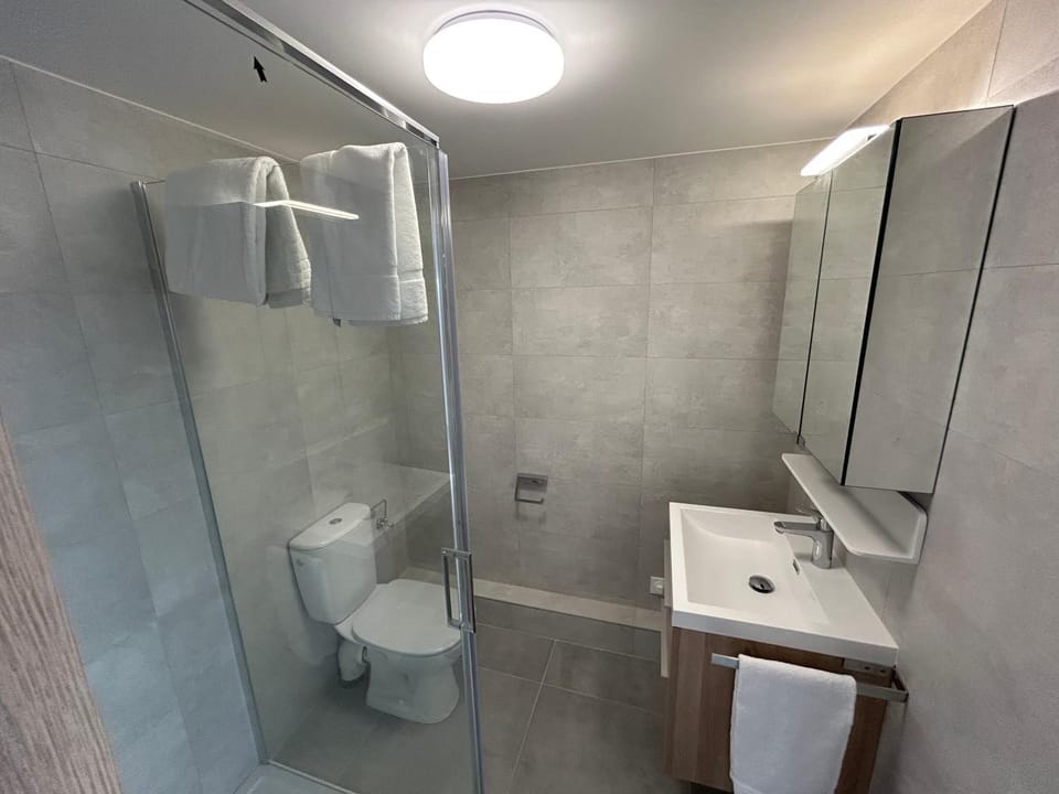 Shower, Toilet, Bathroom, towels