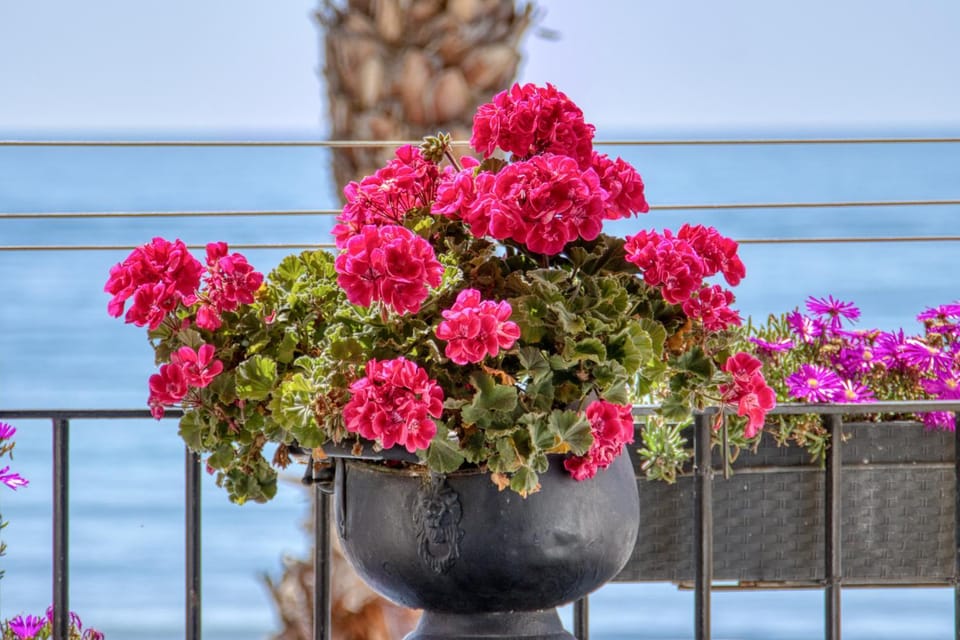Apartamento Las Flores Apartment in Villajoyosa