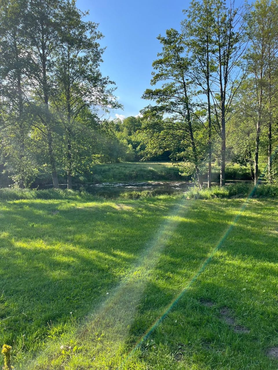 Natural landscape, Garden