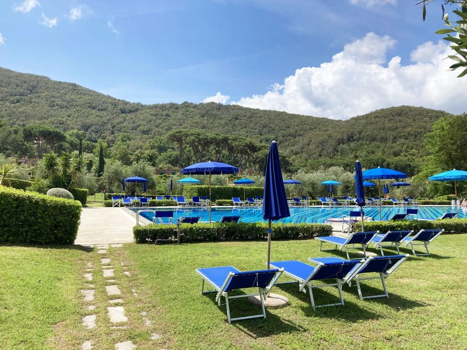 Garden, Pool view, Swimming pool