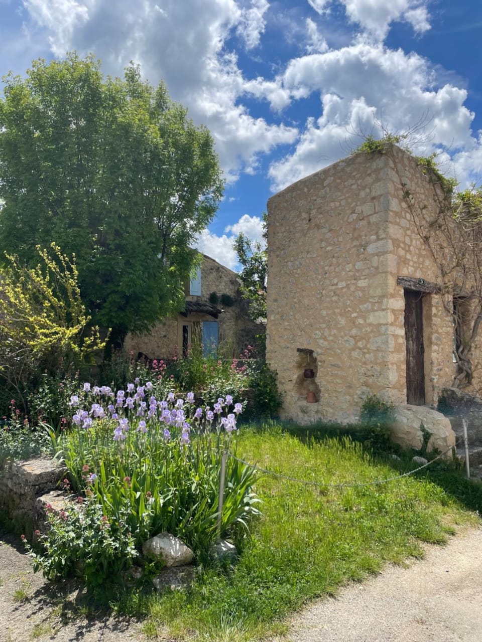 Property building, Garden