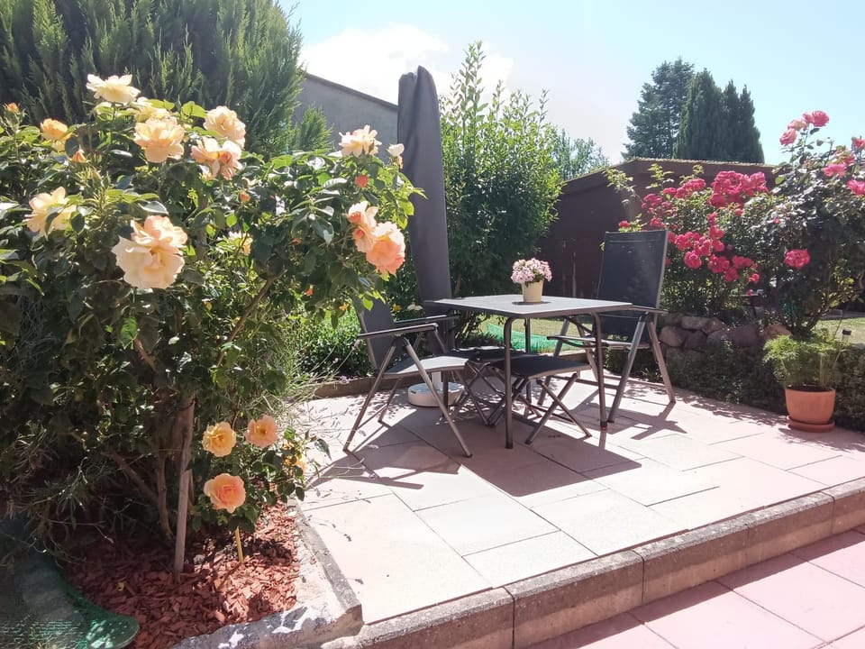 Garden, Seating area
