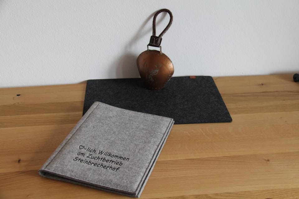 Ferienwohnung am Steínbrecherhof Apartment in Salzburgerland