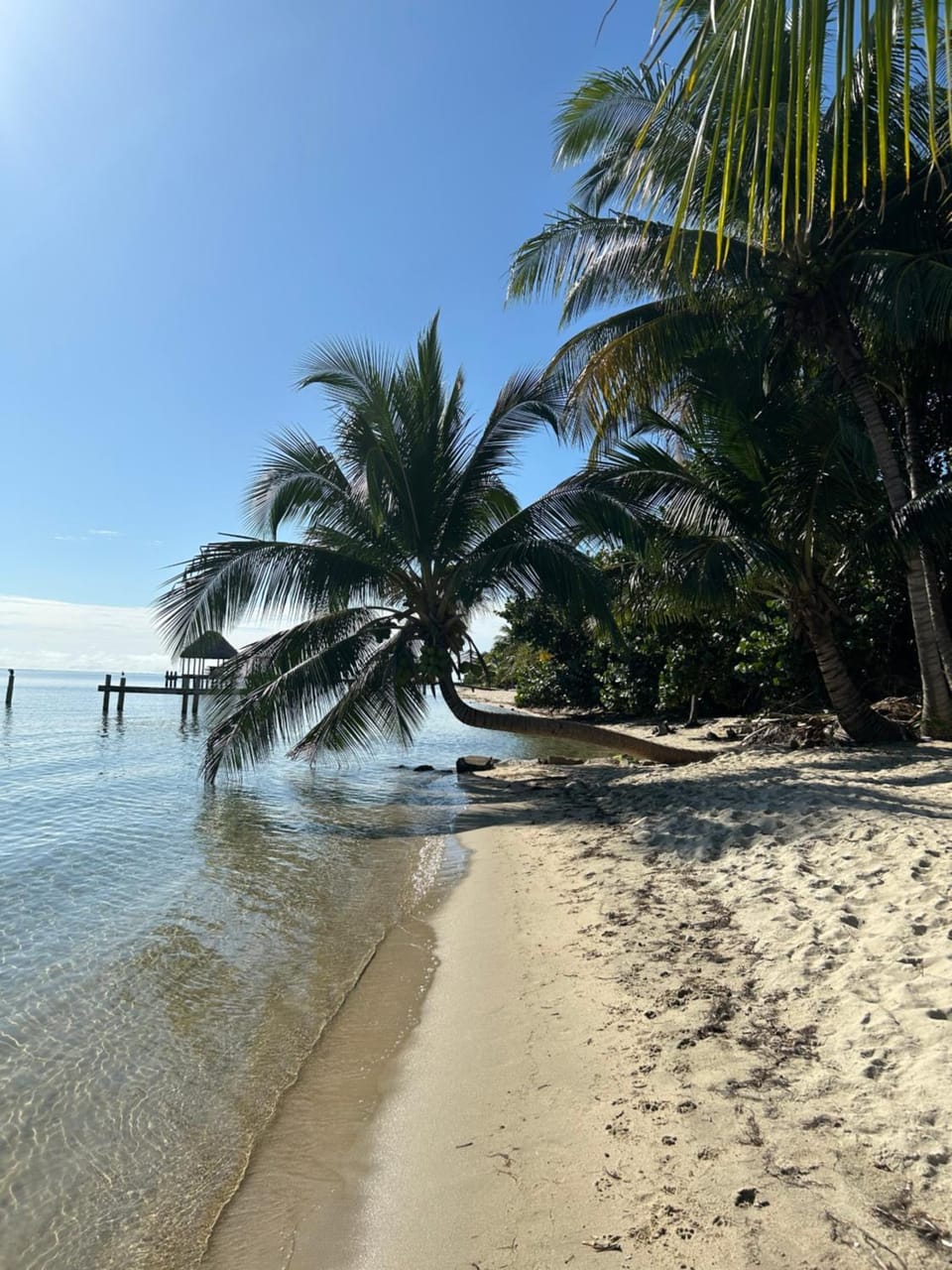 Day, Natural landscape, Beach, Sea view