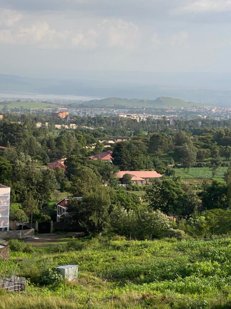 View (from property/room)