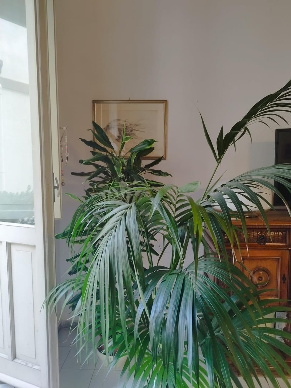 Decorative detail