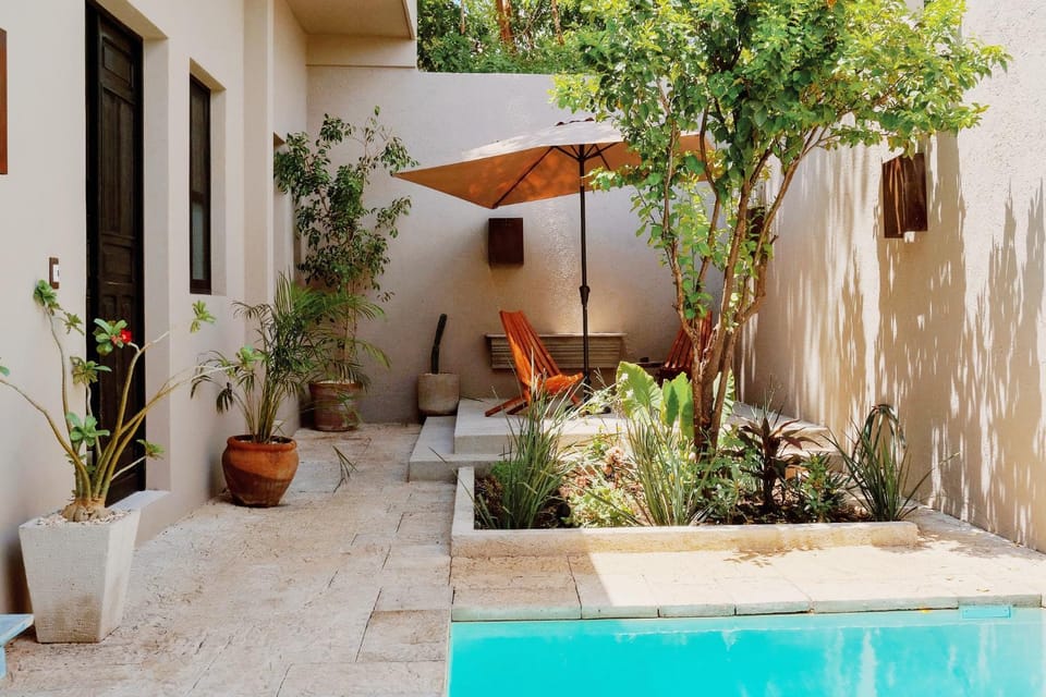 Patio, Day, Garden, Garden view, Pool view, Swimming pool, Swimming pool