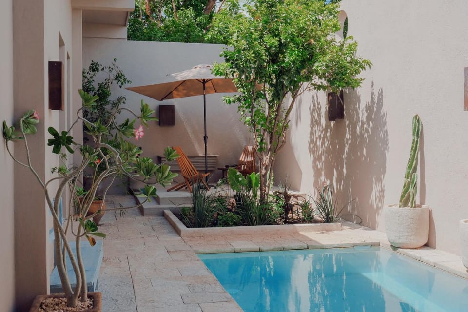 Property building, Patio, Garden, Garden view, Pool view, Swimming pool, Swimming pool