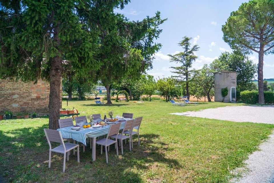 Natural landscape, Garden, Dining area, Garden view