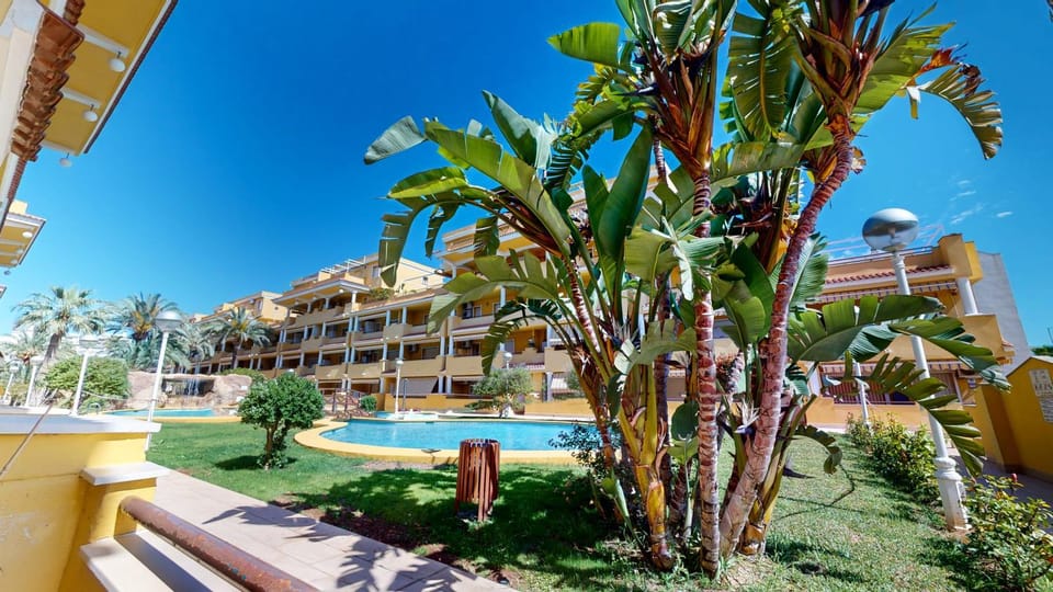 Day, Garden, Garden, Garden view, Pool view, Swimming pool