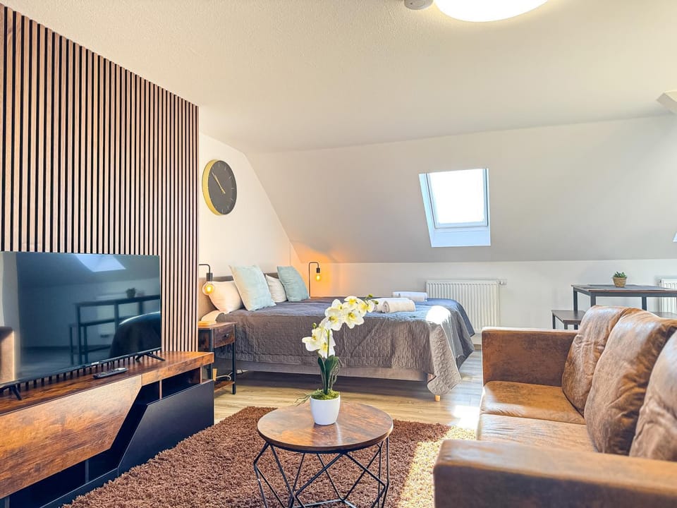 Bed, TV and multimedia, Living room, Photo of the whole room, Seating area, Evening entertainment, Bedroom