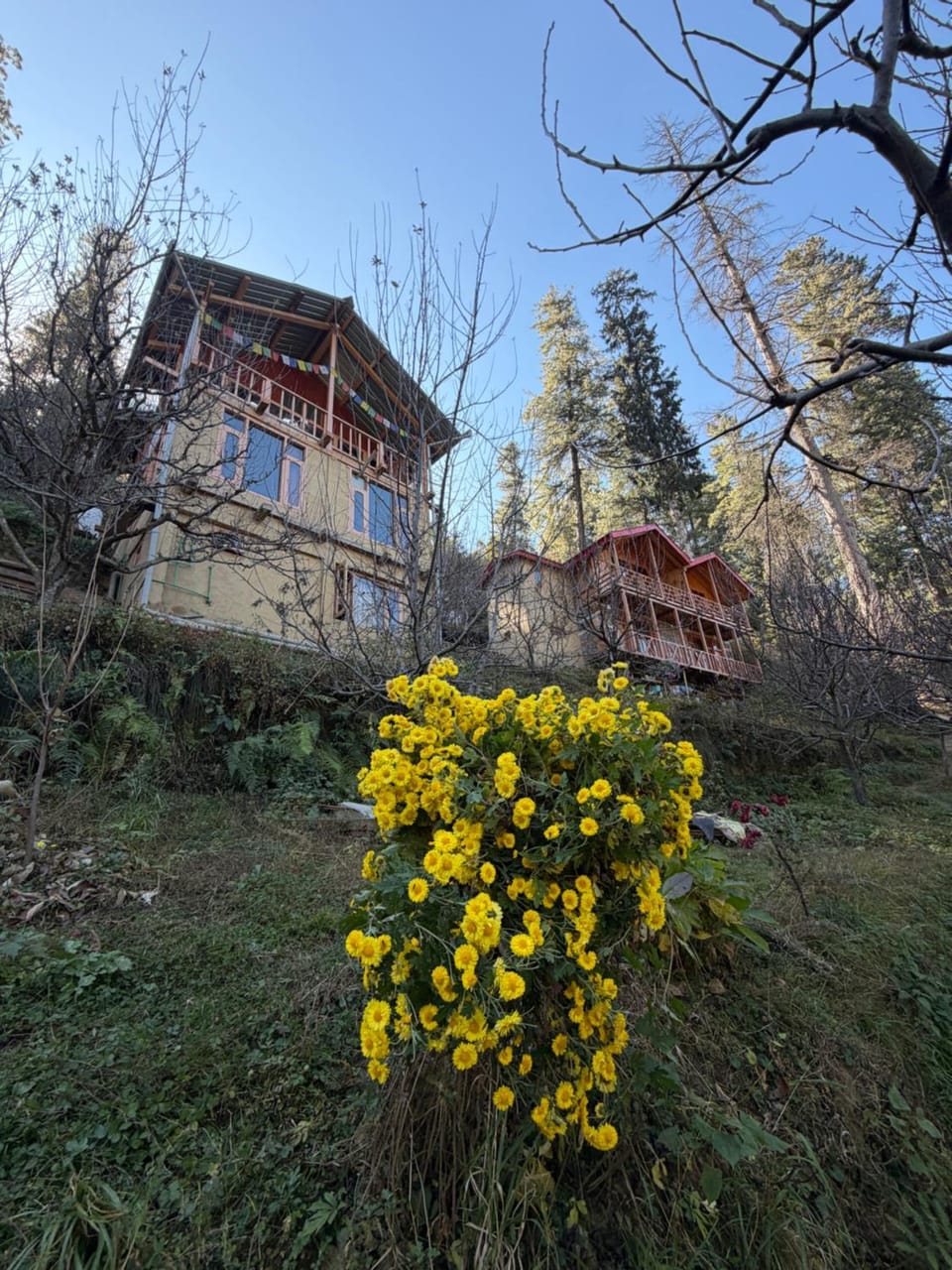 Avasaa Café and Stay Vacation rental in Himachal Pradesh