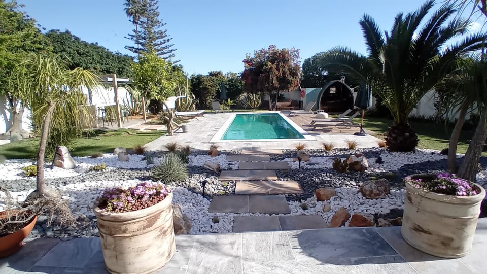 Garden, Garden, Garden view, Pool view, Swimming pool, Swimming pool