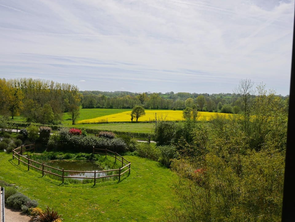 Garden view