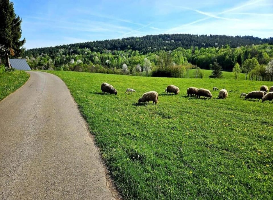 Spring, Day, Natural landscape, Mountain view