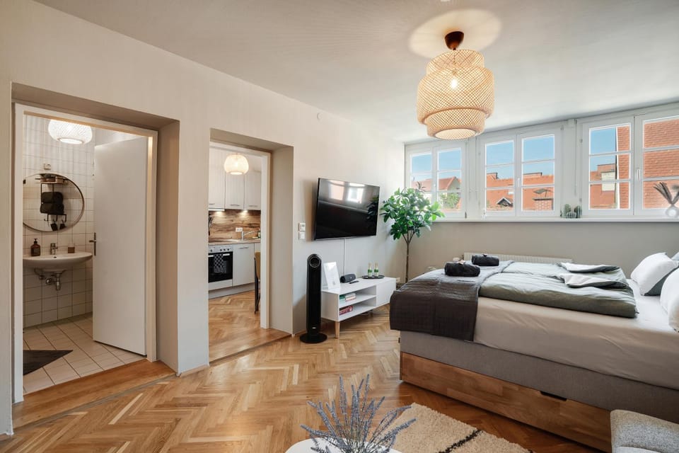 Bed, TV and multimedia, Living room, Photo of the whole room, Seating area, Bedroom